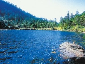 地表水檢測(cè)