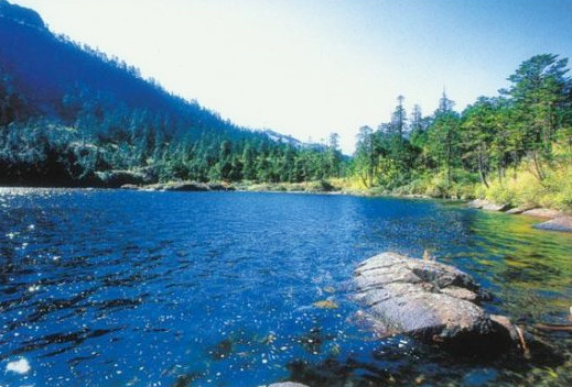 1479864549130842.jpg e7ac29967bfe15c4185c85d0aaace9b1cdd40538_副本.jpg